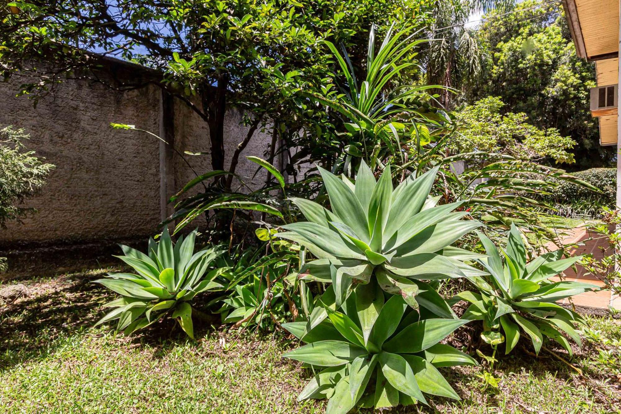 Memora Guesthouse Curitiba - Quartos Em Casa Proximo Ao Parque Bacacheri Kültér fotó